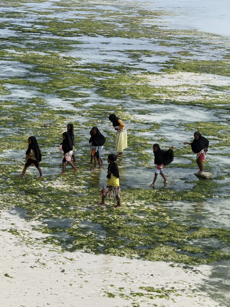 img 2249